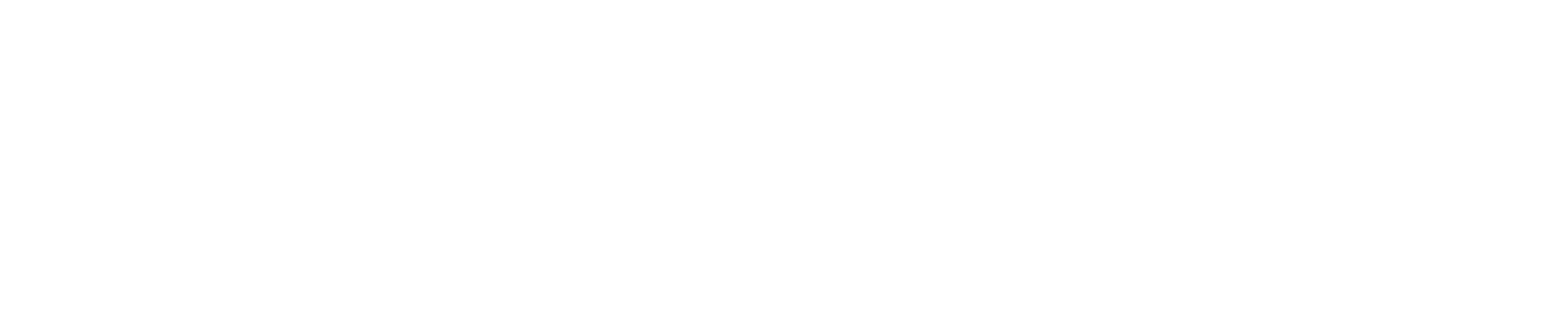 light logo